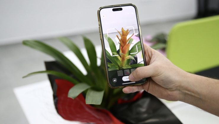 Bitkide 200’ün Üstünde Hastalığı Tanıyabiliyor.