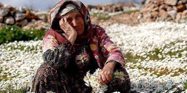 Emeklilere Kira Yardımı mı Geliyor !