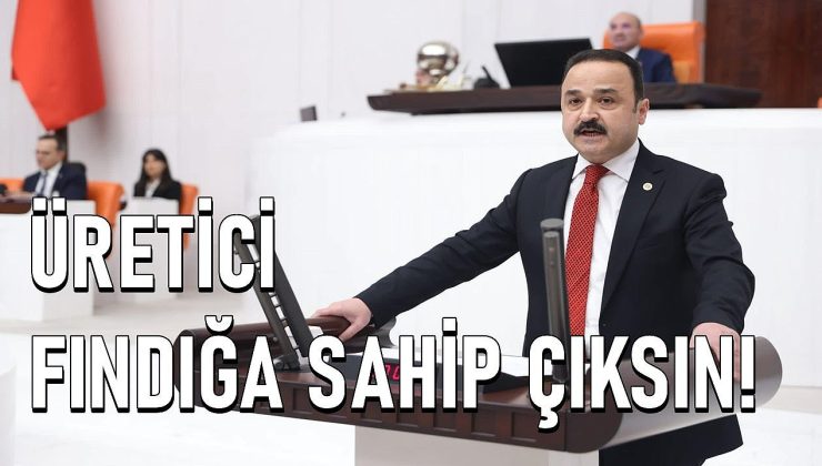 Naci ŞANLITÜRK “Gelişmeler Endişe Verici, Üretici Fındığa Sahip Çıksın”