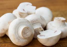 Mantar Zehirlenmelerine Dikkat!