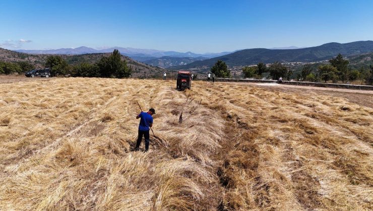 “5 Yılda ÜRETEN ORDU MODELİ Ortaya Çıktı”