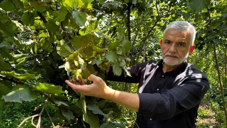 Altınordu Ziraat Odası Başkanı Atakan Akça “Asıl Sorun Tüccar!”