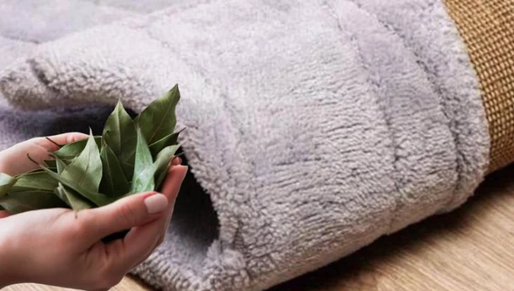 Halınızın Altına Defne Yaprağı Koyun.