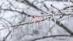 Yüksek Kesimlere Zirai Don Uyarısı!