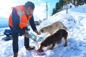 Ordu Can Dostlarını Unutmuyor