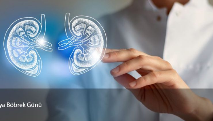 13 Mart 2025 Dünya Böbrek Günü.