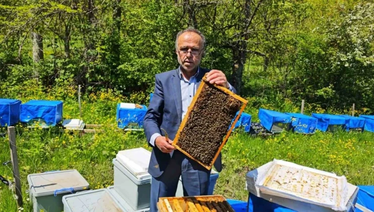 Kovan İçindeki Hayatlarda Durdu