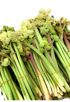 Kanserin Yeni İlacı