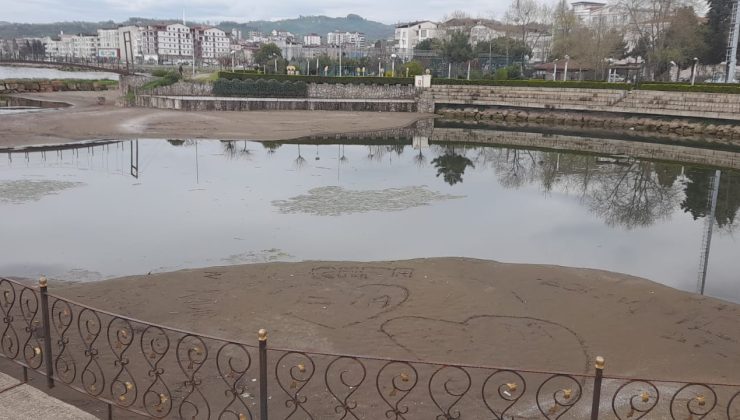 Bir Güzellik Yok Olmak Üzere..