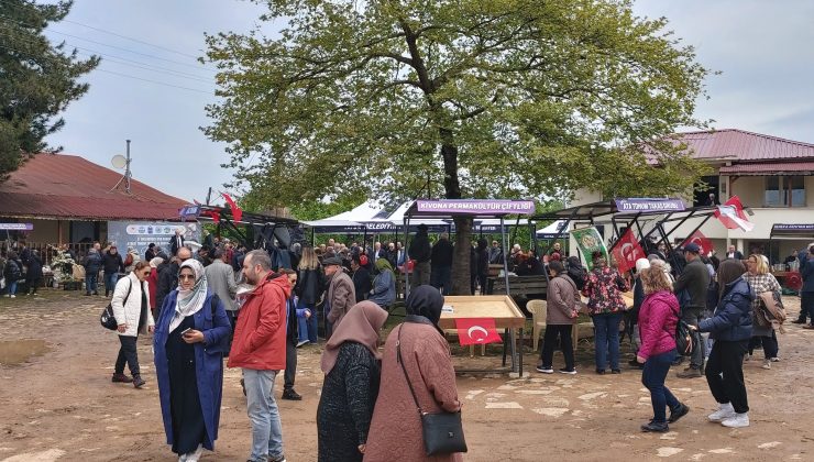 5.Kabakdağı Şenliğinin Değerlendirilmesi