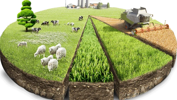 Kırsal Kalkınma Desteğinde Hatalı Belge Düzeltmesi.