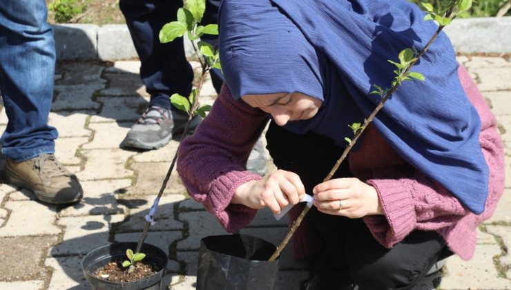OBB’nin Aşı Ordusu Sahalarda