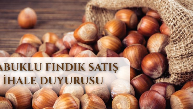 TMO,2022 Yılı Fındığını Satışa Çıkardı.