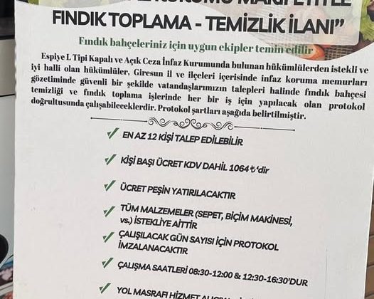 Fındık Hasadı Başlamadan Önce…