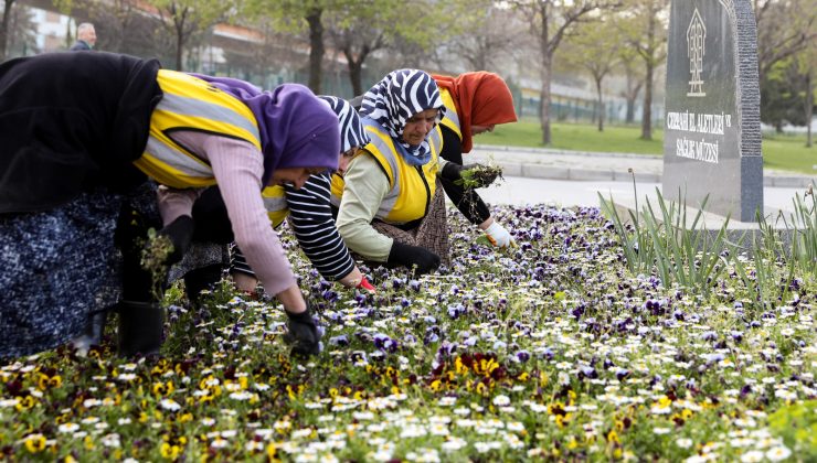 Samsun,Sağlıklı Kentler Birliğinden Ödül Aldı.