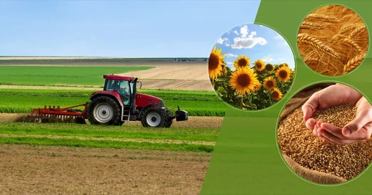 Tarımsal Desteklemeler Hesaplara Yatırılıyor!