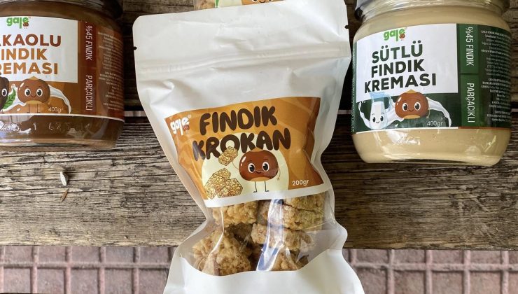 Hoş Geldin “GALE”