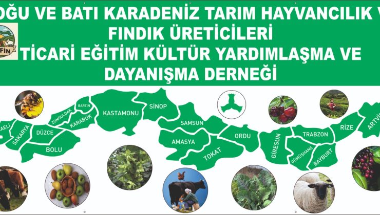 Fındık Rekoltesi ve Fiyat İstikrarı