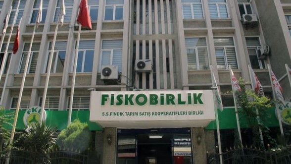 Fındık Nereye Koşuyor ?