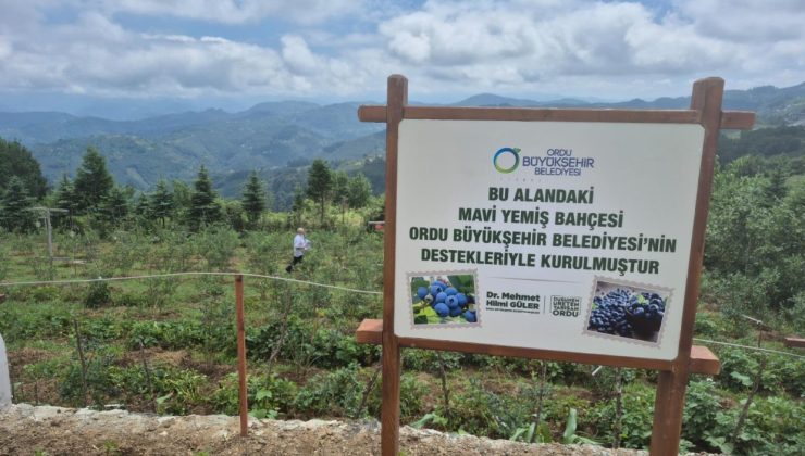 OBB’den Mavi Yemiş’e Destek