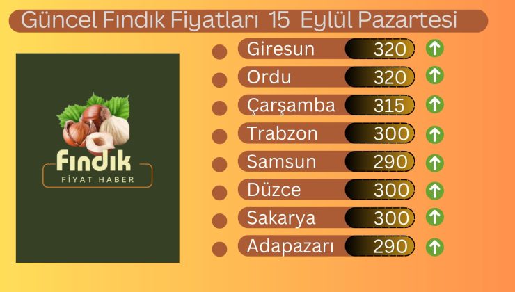 Fındık Yeniden Yükselişte..