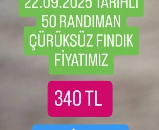 Fındık Üreticisinin Yüzü Gülmeye Başladı.