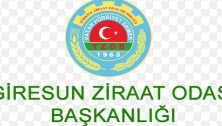 GZO Başkanı Karan; “Fındık’ta 2026 Çözüm Yılı Olsun.”
