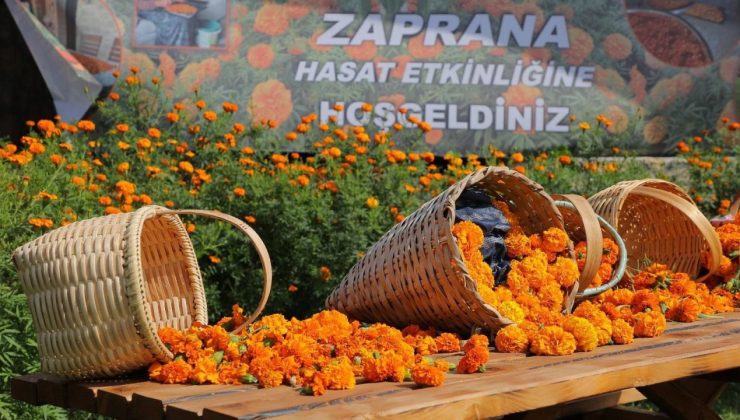 Destinasyon Çalıştayından Zaprana Festivali Çıktı.