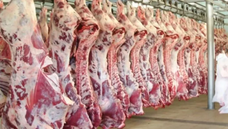 Kırmızı Et Fiyatları Neden Yükseliyor?