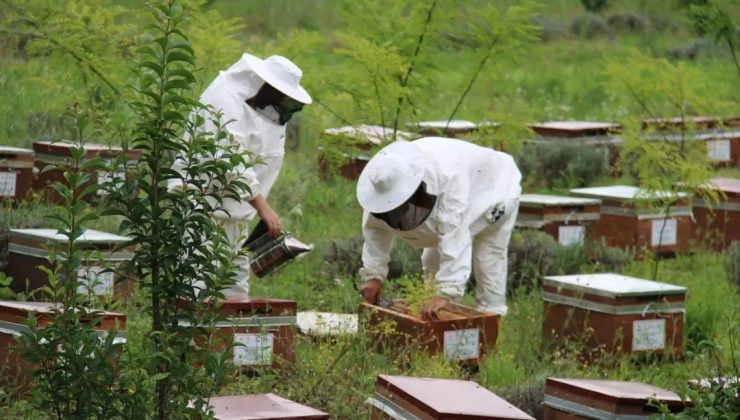 Arıcılara Önemli Hatırlatma !