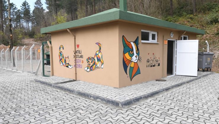 Ünye Belediyesinden Modern Bir Tesis!