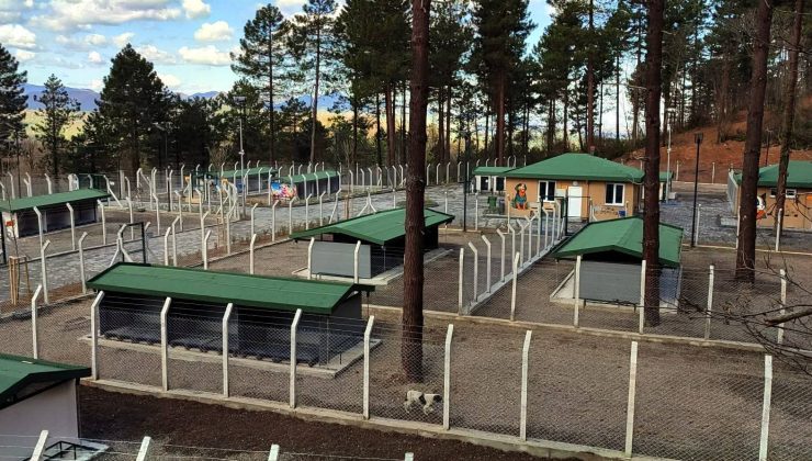 Can Dostlar Barınağı Örnek Projeler Arasında!