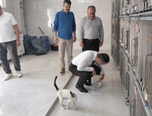 Kaymakam Yıldız, Can Dostlarla Bir Arada !
