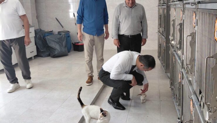 Kaymakam Yıldız, Can Dostlarla Bir Arada !