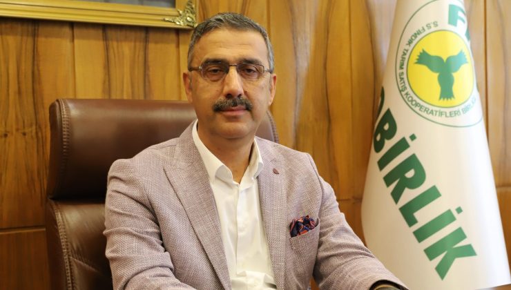 Fiskobirlik Yeni Sezon Fındık Alımına 12 Ağustos’ta Başlayacak!