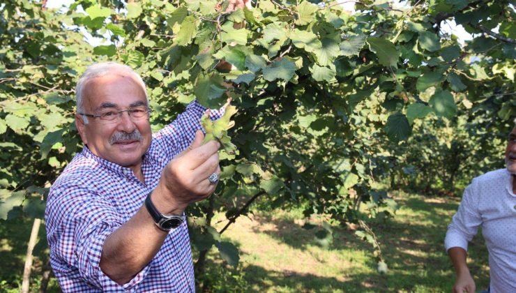OBB Başkanı Mehmet Hilmi Güler: “Fındık Gerçek Değerini Bulacak”