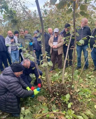 Giresun İl Tarım ve Orman Müdürlüğü ve Halk Eğitim Merkezi İşbirliği İle Fındık Üreticilerine 40 Saatlik  Eğitim Verildi