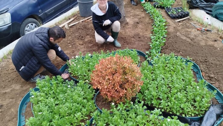 Park ve Bahçeler Müdürlüğünde Başarılı Bir Ekip Var
