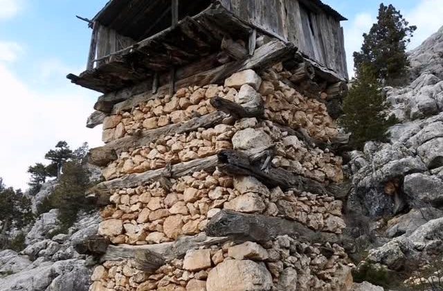 Api Turizmini Kim Başlatıyordu ?