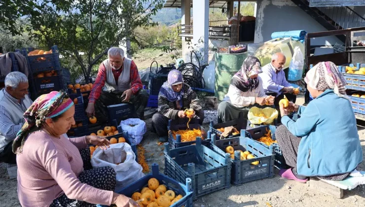 Ünye ve Trabzon Hurması !