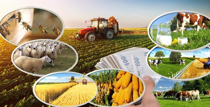 Tarımsal Destekleme Ödemeleri Yatırılmaya Başlandı