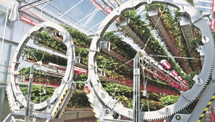 Küçük Ev Aletleri Üretiminden Tarıma Yolculuk