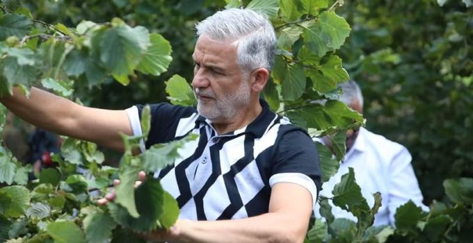 Altınordu Ziraat Odası Başkanı Akça; “Fındık ta Yine Aynı Oyun Sergileniyor.”