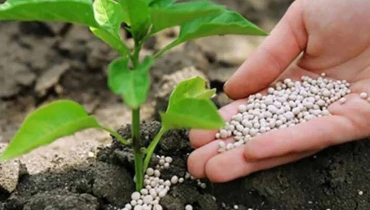 Bu Gübre Çiftçi Kaydına Göre Kullandırılacak!