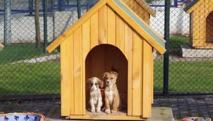 Başkan Tepe  Proje İçin İlk Adımı Attı!