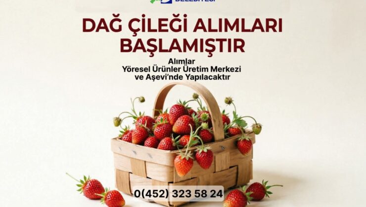 Ünye Belediyesi Yerel Üreticiden Alım Yapacak