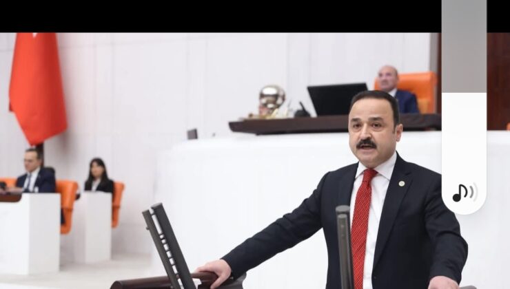 Milletvekili Naci Şanlıtürk, Fındık Rekolte Hesaplamalarına Sert Çıktı!